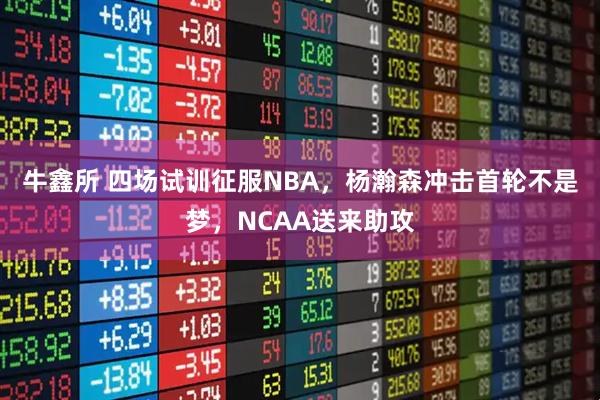 牛鑫所 四场试训征服NBA，杨瀚森冲击首轮不是梦，NCAA送来助攻