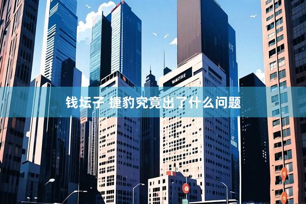 钱坛子 捷豹究竟出了什么问题