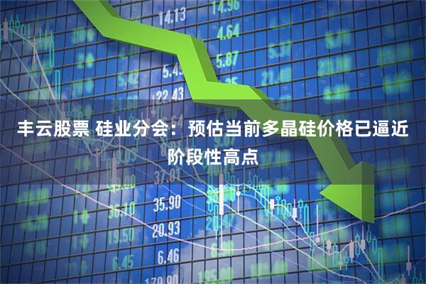 丰云股票 硅业分会：预估当前多晶硅价格已逼近阶段性高点