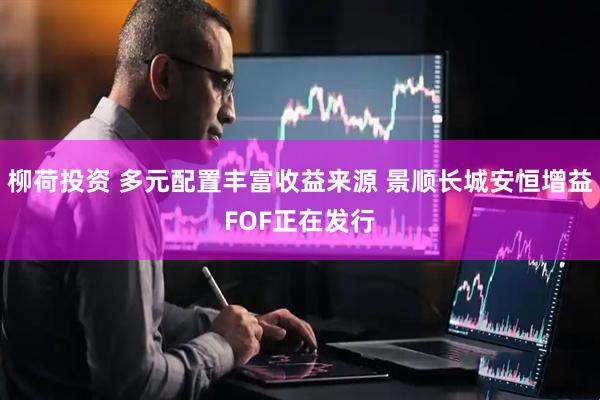 柳荷投资 多元配置丰富收益来源 景顺长城安恒增益FOF正在发行