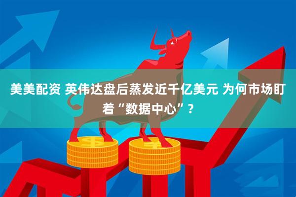 美美配资 英伟达盘后蒸发近千亿美元 为何市场盯着“数据中心”？