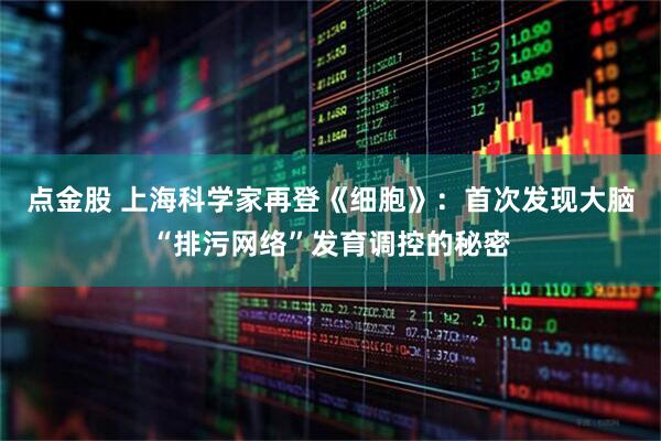 点金股 上海科学家再登《细胞》：首次发现大脑“排污网络”发育调控的秘密